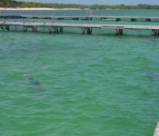 Cancun05 059
